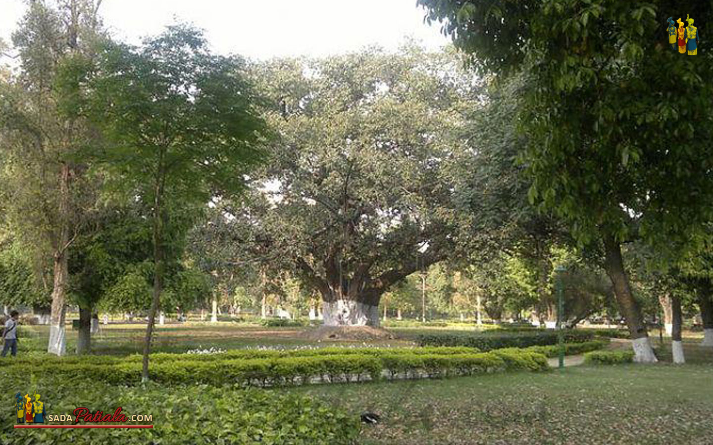 Patiala Baradari Gardens
