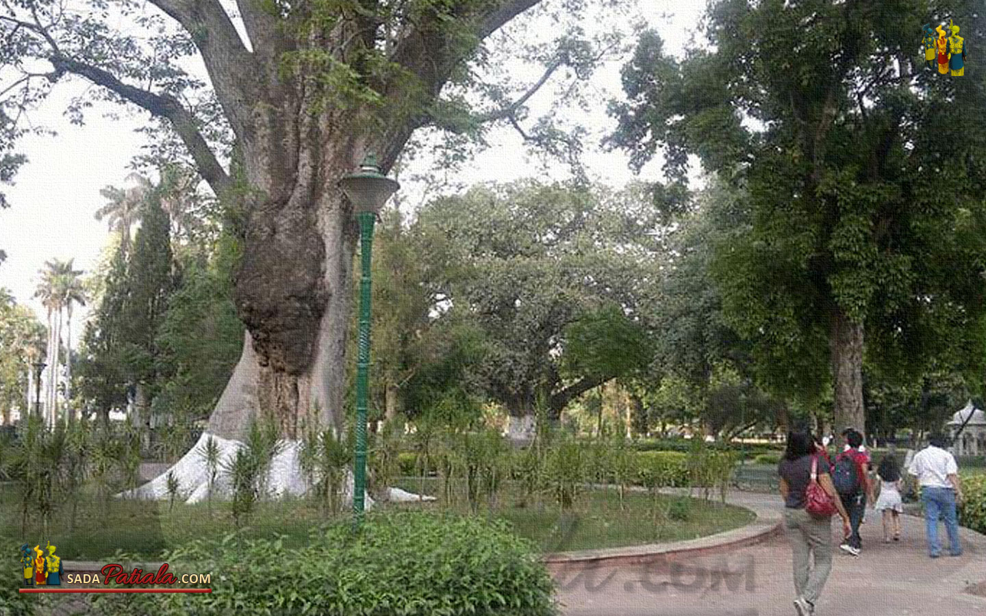 Baradari Garden